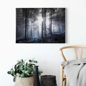 Bricoflor Leinwandbild: Wald in Schwarz-Weiß mit Sonnenstrahlen. Wanddeko für Wohnzimmer & Schlafzimmer.