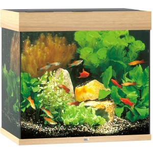 Juwel Aquarium-Set Lido LED, helles Holz, 120 l, bepflanzt mit Fischen.