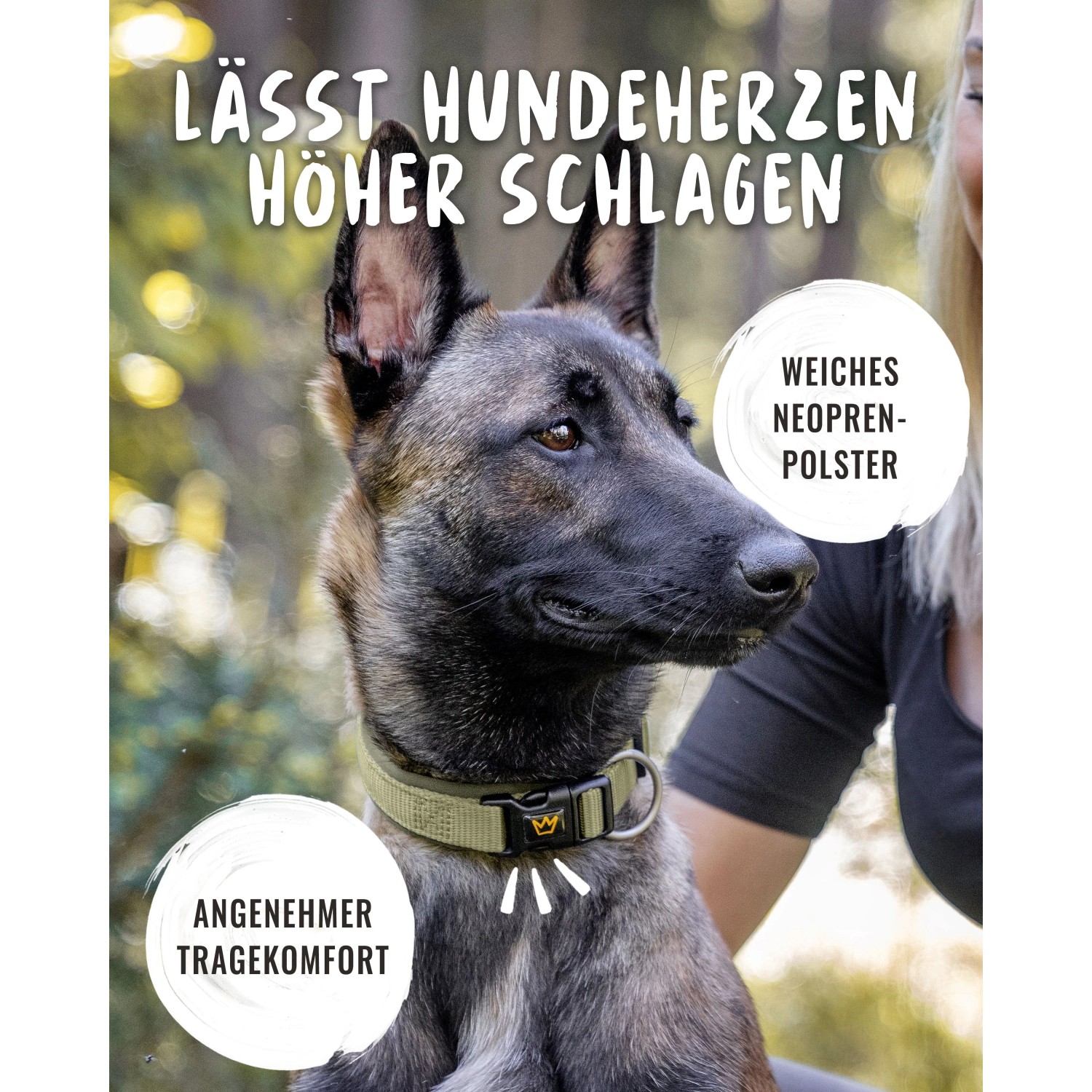 Hund mit olivgrünem Rudelkönig Hundehalsband Bella aus Nylon und Neopren.