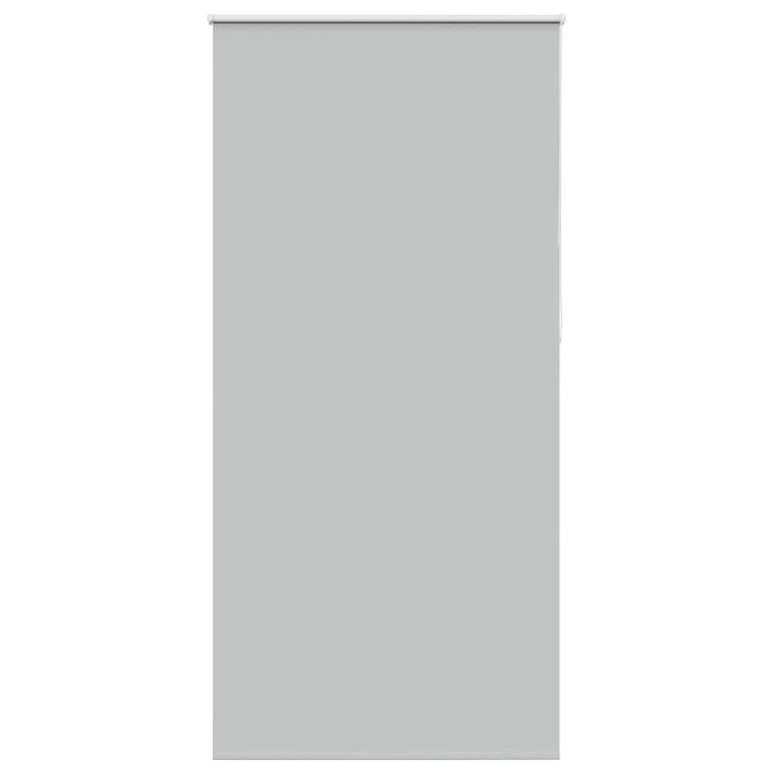 vidaXL Verdunkelungsrollo Hellgrau 95x210 cm Stoffbreite 90,7 cm 4011439 günstig online kaufen