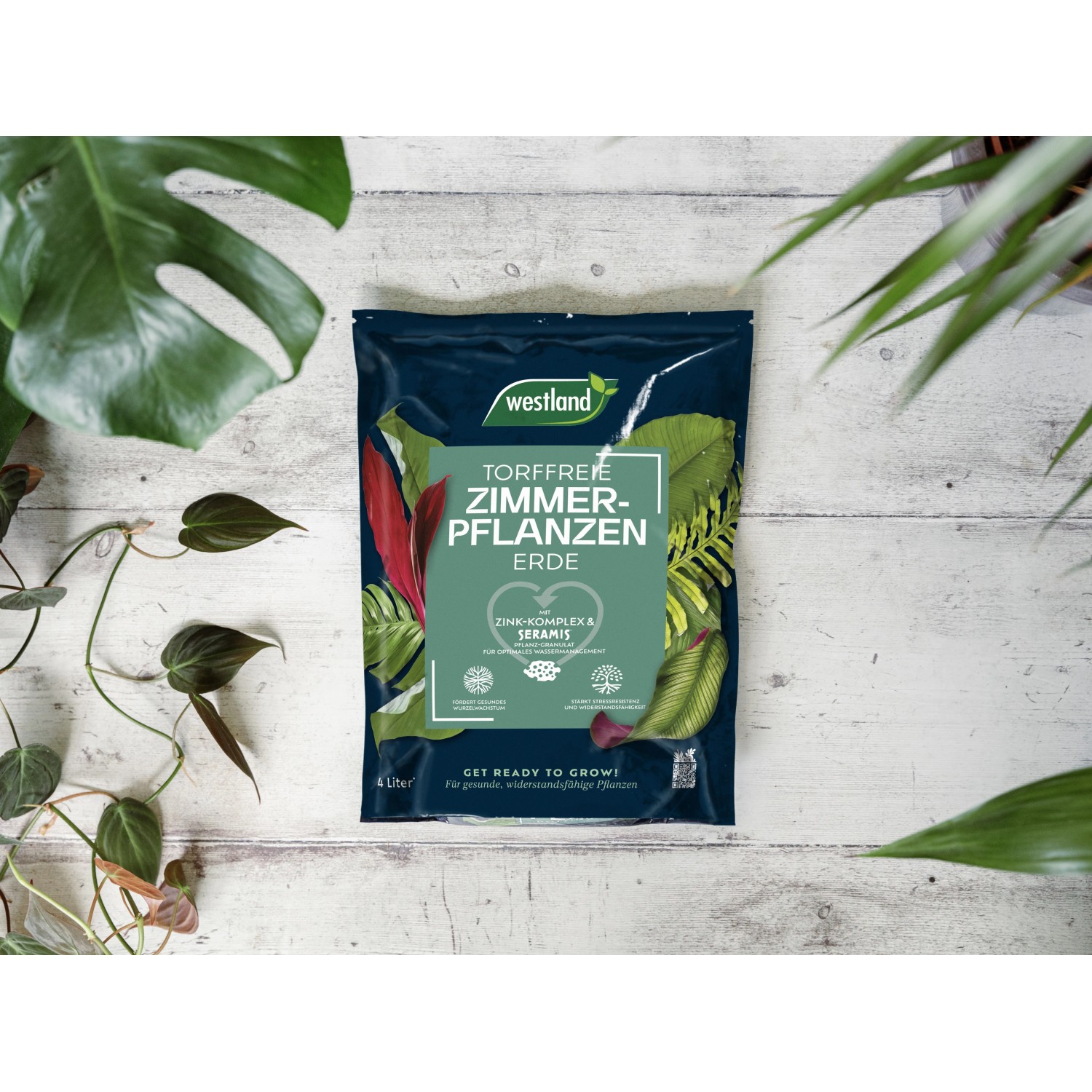 Westland Zimmerpflanzenerde Torffrei mit Seramis 4 l_2