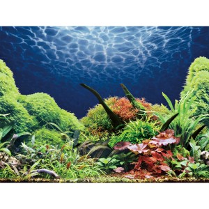Aquariumrückwand mit detailreicher Unterwasserlandschaft: grüne Pflanzen, dunkles Holz, blaues Wasser mit Lichtreflexen.