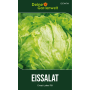 Samenpackung für Eissalat Great Lakes 118 mit Bild eines frischen, grünen Eisbergsalats. Blattgemüse Saatgut.