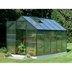 Grünes Halls Gewächshaus Popular 106 mit geöffnetem Dachfenster und Pflanzen.