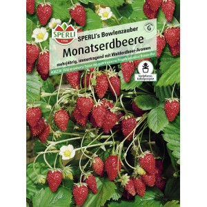 Samenpackung Sperli Monatserdbeere Bowlenzauber mit reifen, roten Erdbeeren und weißen Blüten.