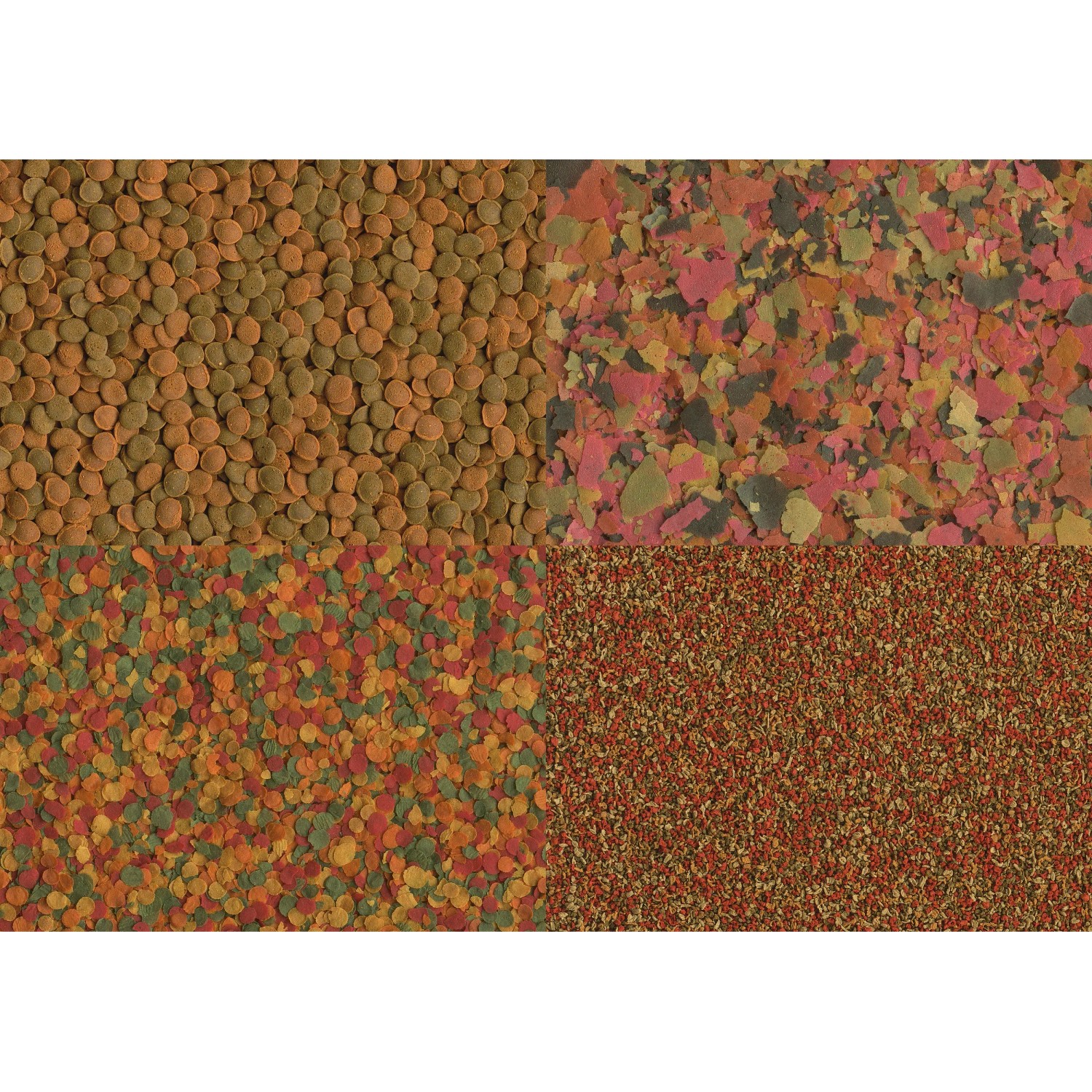 Tetra Selection Fischfutter: 4 verschiedene Futtersorten (Flocken, Crisps, Granulat, Wafer) für alle Wasserregionen.