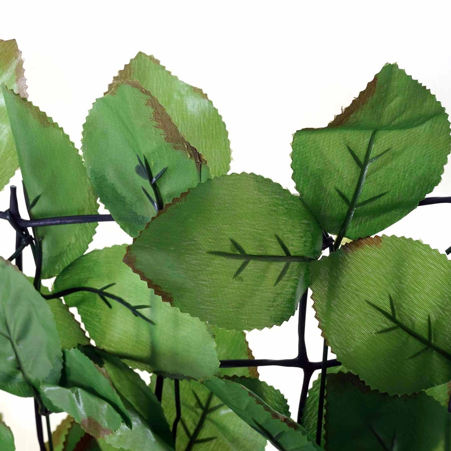 Detailaufnahme: MCW Balkonsichtschutz T811 Buche, grüne Blätter auf Gitter, ideal für Balkon & Terrasse.