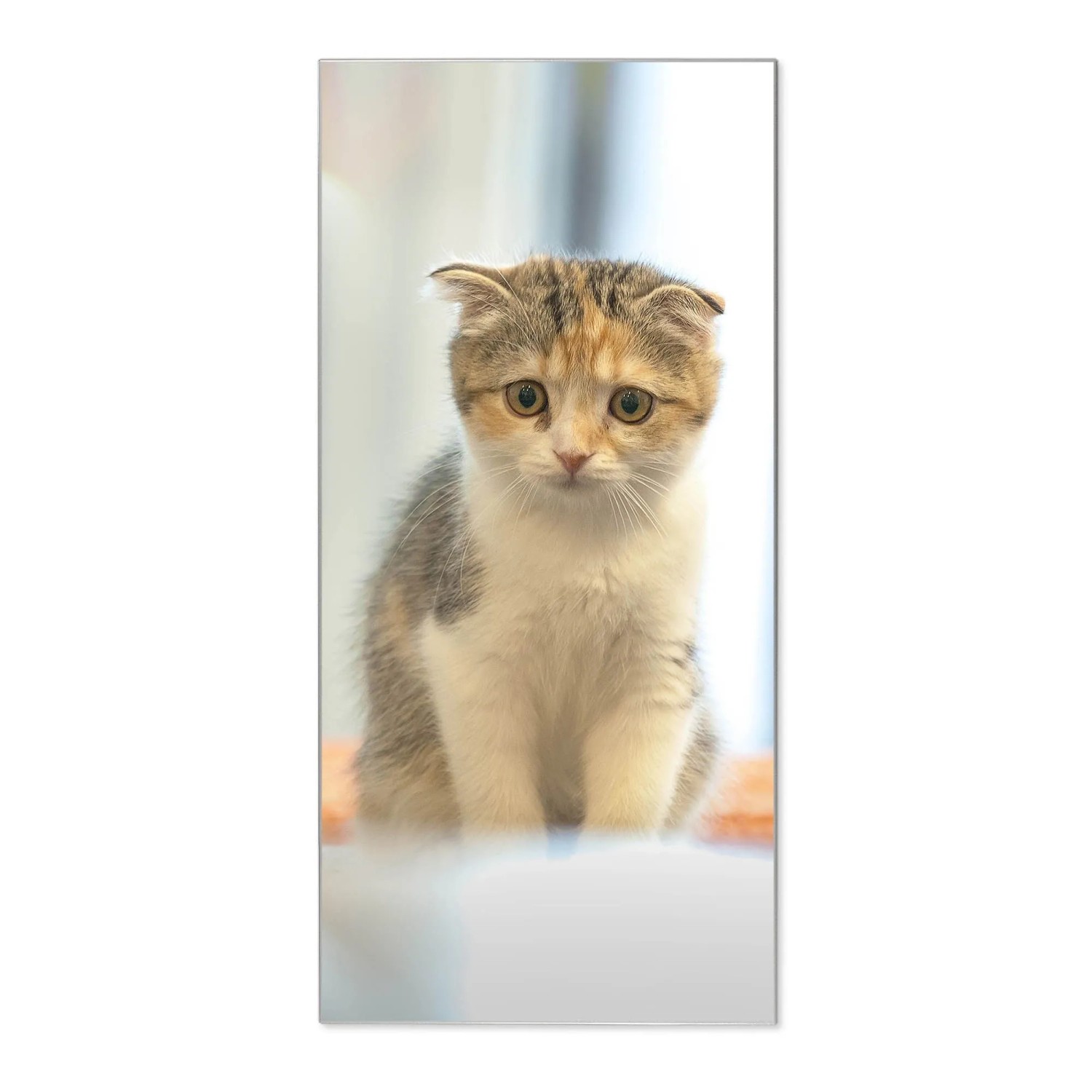 Banjado Magnettafel 37x78cm Magnetwand  Silber Aus Metall Magnetpinnwand Pi günstig online kaufen