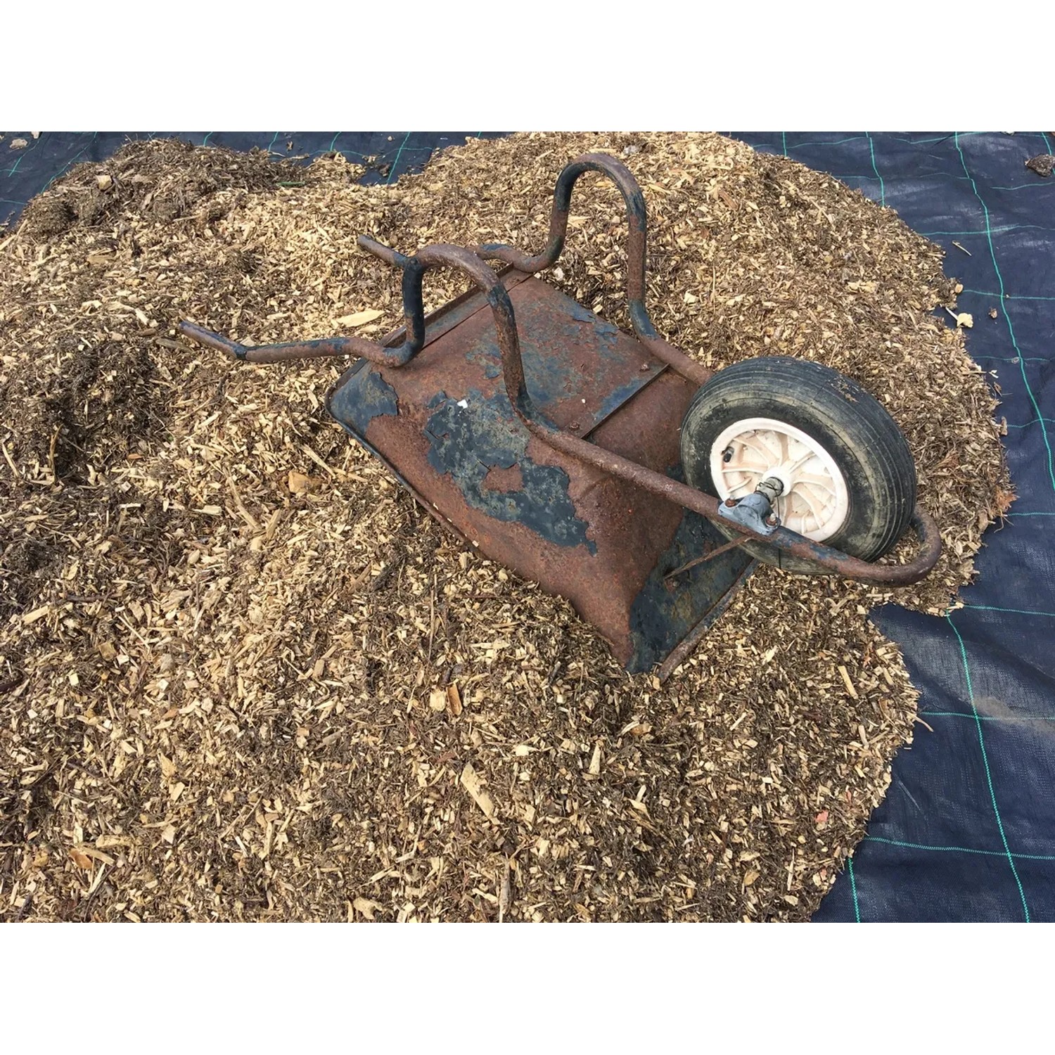 Schwarze Aquagart Unkrautfolie unter Holzhackschnitzeln mit Schubkarre im Garten.