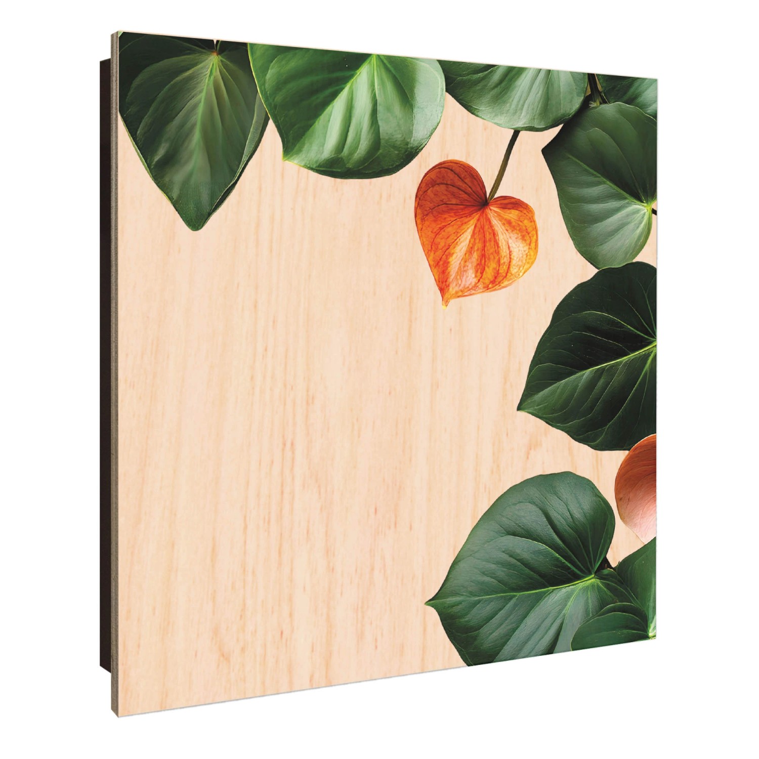 Banjado Großer Schlüsselkasten Holz 30x30cm Schwarz Scharnier Links 50 Hake günstig online kaufen