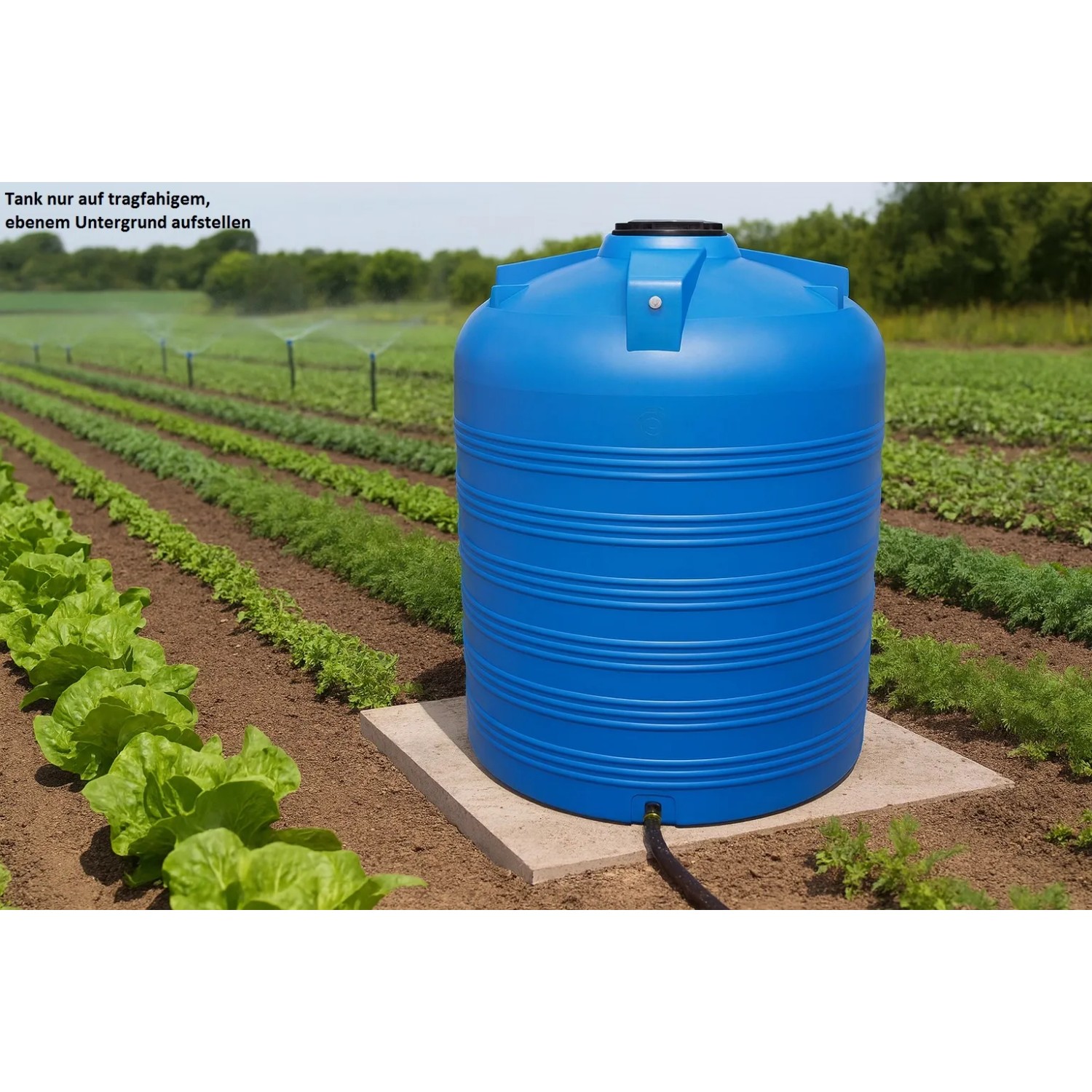 Blauer KMND 5000L Trinkwasser Wassertank aus PE auf Betonplatte im Garten, zur Bewässerung von Pflanzen.