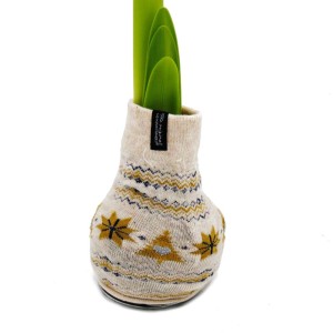 Amaryllis-Zwiebel in Norweger-Socke Beige, Exotenherz Ritterstern als Deko.