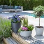 Scheurich Pflanzschalen C-Cone in Stony Black und Grau mit Bepflanzung im Garten.