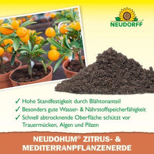 Neudorff Zitrus- und Mediterranpflanzenerde Neudohum 20 l mit Zitruspflanze.