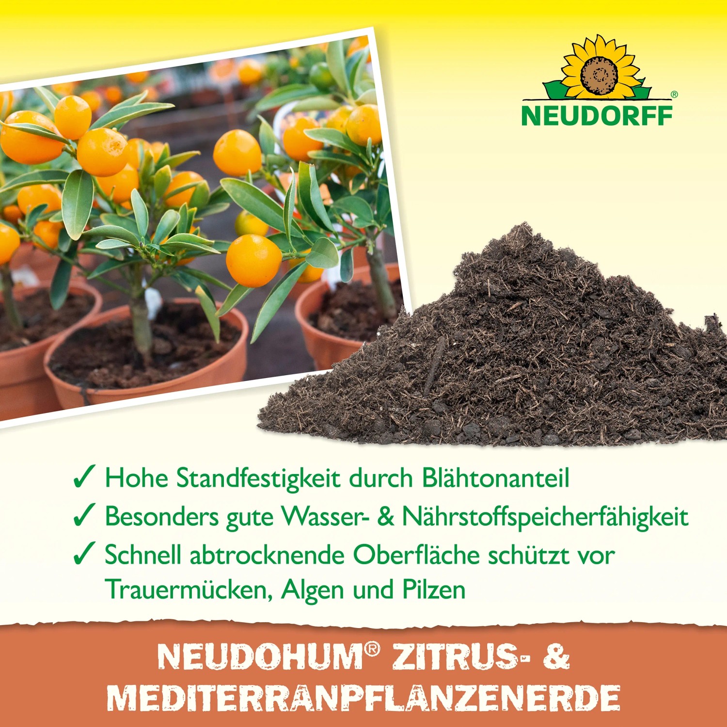 Neudorff Zitrus- und Mediterranpflanzenerde Neudohum 20 l mit Zitruspflanze.