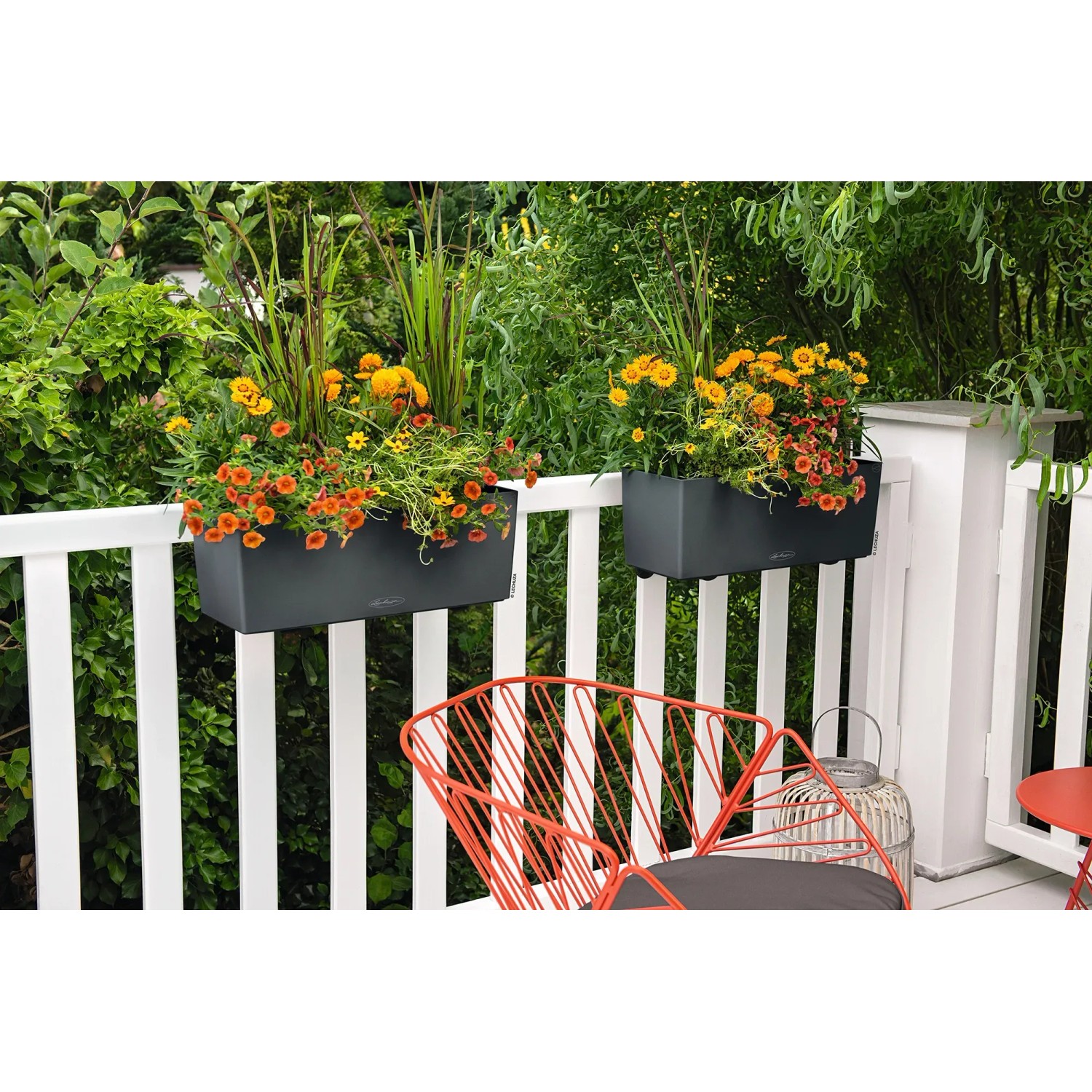 Lechuza Balkonkasten Balconera 50 mit Bewsserungssystem 50 cm x 19 cm  kaufen bei OBI