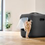Anthrazitfarbene Rotho Katzentoilette Biala XL mit Katze, ideal für große Katzen und Mehrkatzenhaushalte.