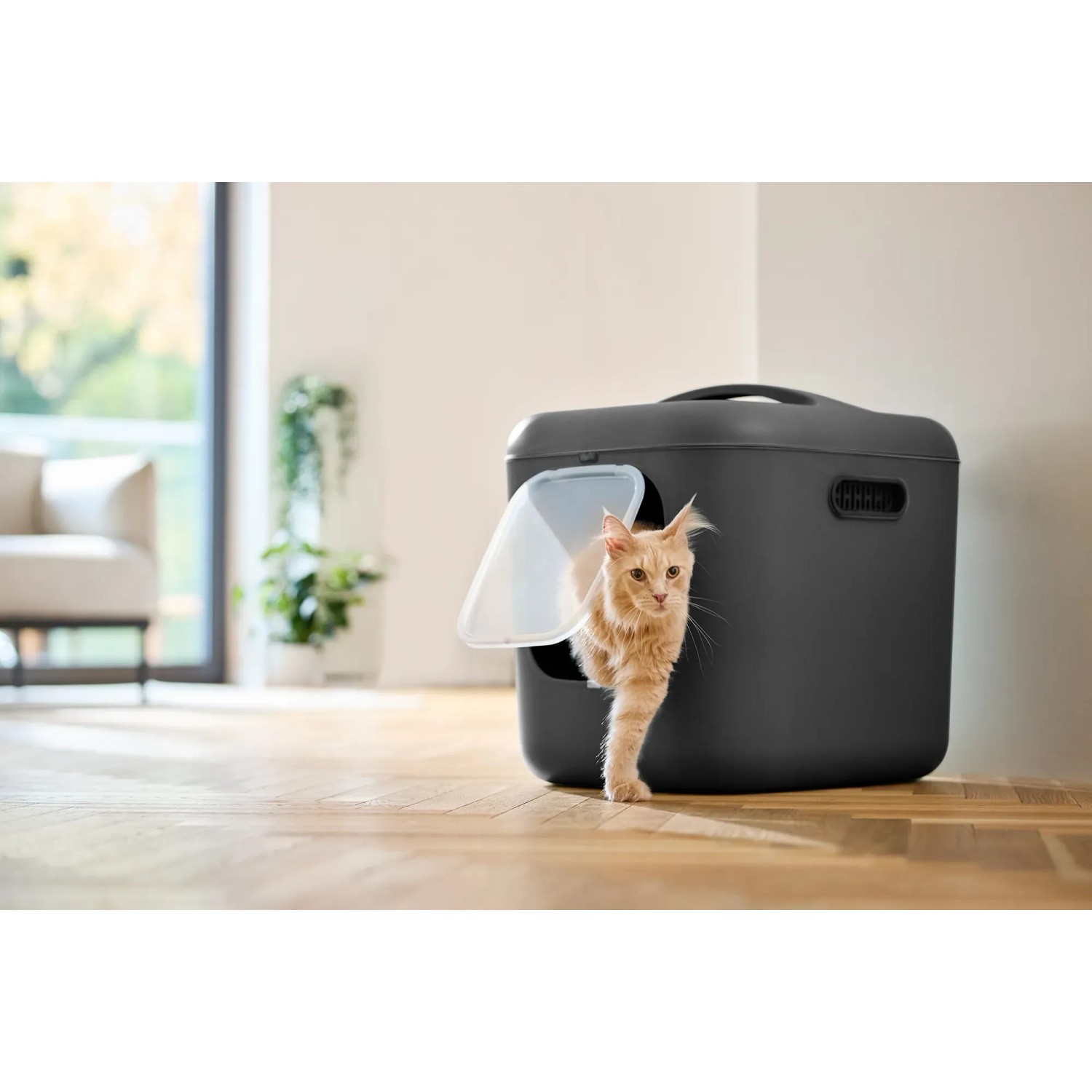 Anthrazitfarbene Rotho Katzentoilette Biala XL mit Katze, ideal für große Katzen und Mehrkatzenhaushalte.