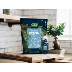 Westland Bonsaierde torffrei 4L mit Seramis und Bonsai Dünger.