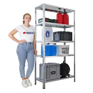 PROREGAL Schwerlastregal Ares HxBxT 180x90x40cm 5 Stahlplatten-Ebenen Fachlast 125 kg Verzinkt