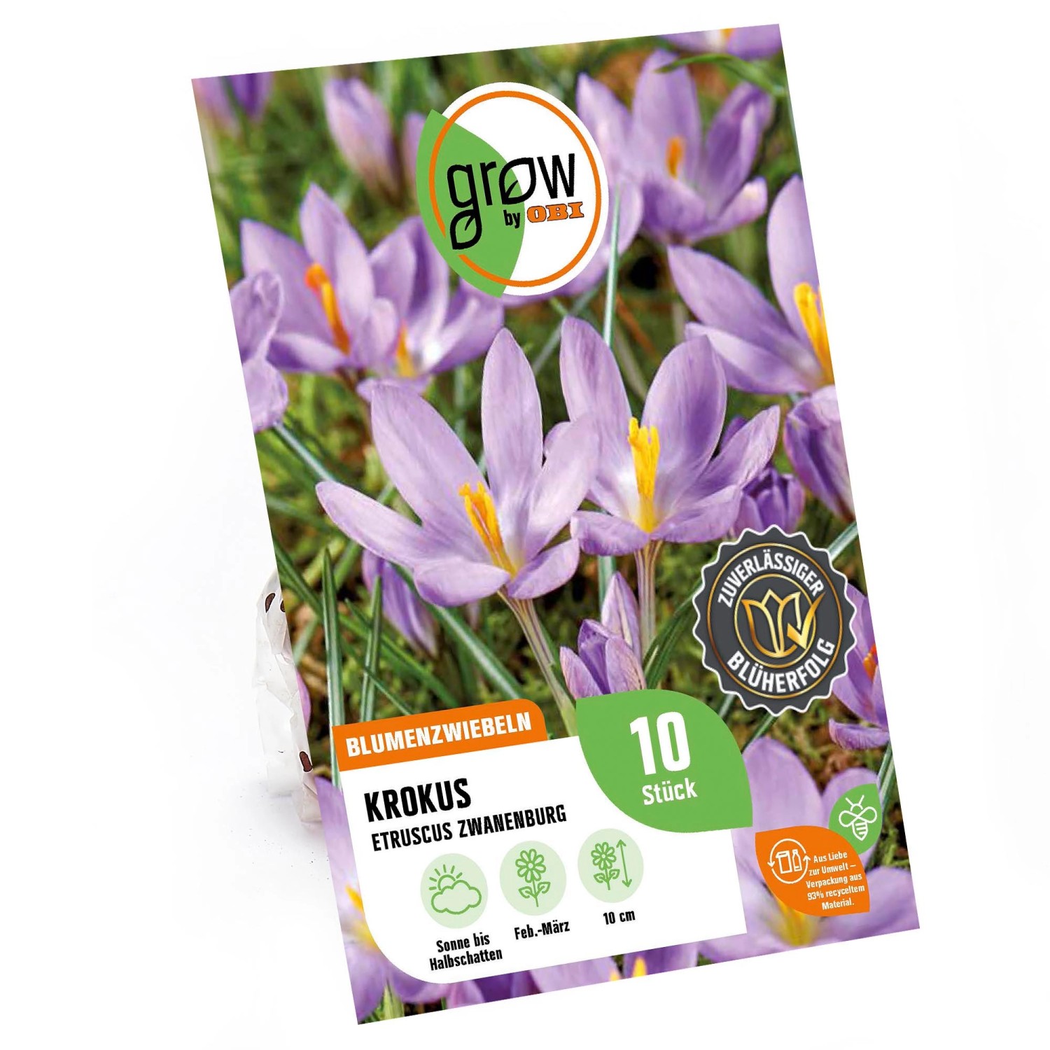 GROW by OBI Krokus Zwanenburg Purple-Gelb 10 cm Crocus etruscus günstig online kaufen