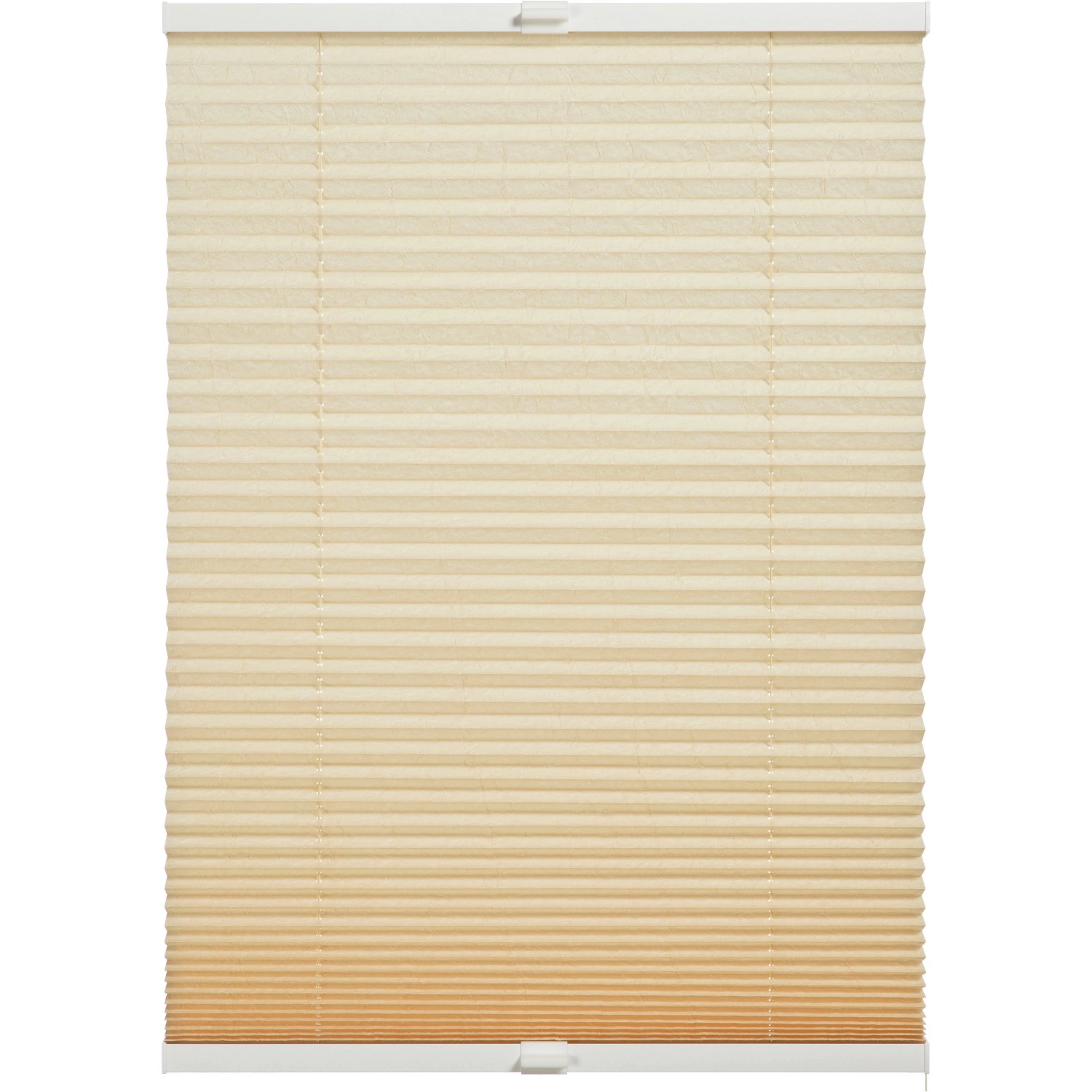 Schöner Wohnen Plissee Milla 70 cm x 130 cm Beige günstig online kaufen