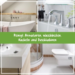 Poliboy Bad Reiniger für Armaturen, Waschbecken, Kacheln, Duschkabinen. Reinigt Bad-Oberflächen von Kalk & Seife.