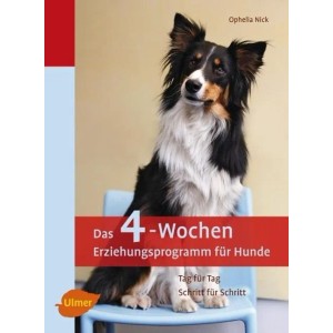 Das 4-Wochen-Erziehungsprogramm für Hunde