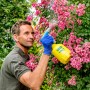Mann sprüht mit Gloria Hobby 10 Flex Drucksprühgerät Pflanzen ein.