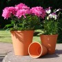Terrakotta Rosentöpfe, Ø 18 cm, mit pinken und violetten Blumen bepflanzt.