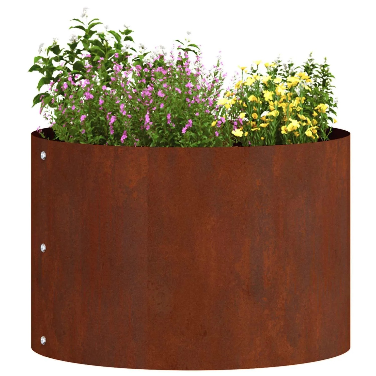 vidaXL Pflanzenring Braun 30 x 30 x 20 cm Wetterfeststahl 873604_3