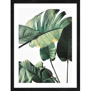 Pro Art Bild Framed Art Jungle Leaves II, 40x30 cm, mit grünen Dschungelblättern im schwarzen Rahmen.