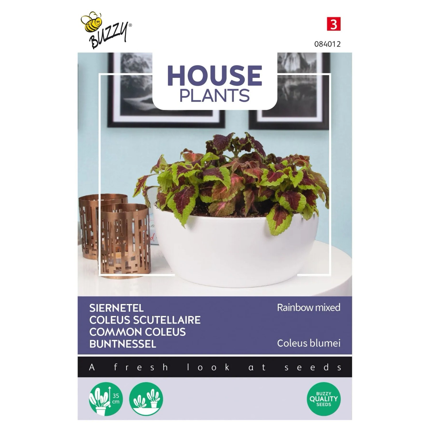 Buntnessel Regenbogen-Mischung Buzzy House Plants Samen Ca. 0,25 g Farbenfrohes Laub