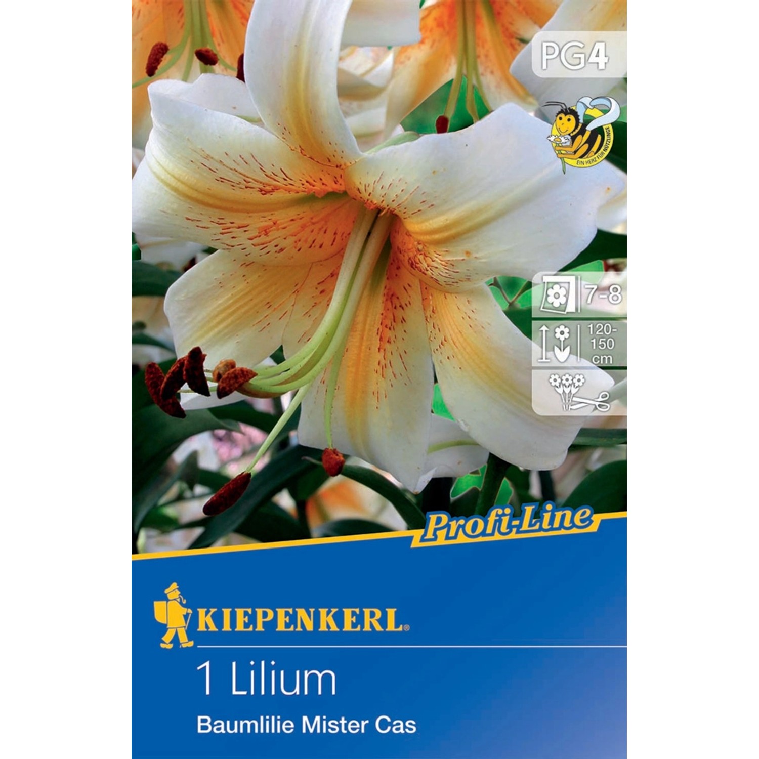 39+ Kletter Baum Lilien Pflanzen, Für die pflanzung kann der