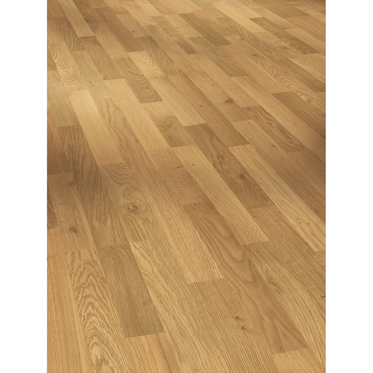 Wasserfestes Laminat Parador Basic 400 in Eiche Natur Optik, geeignet für Fußbodenheizung.