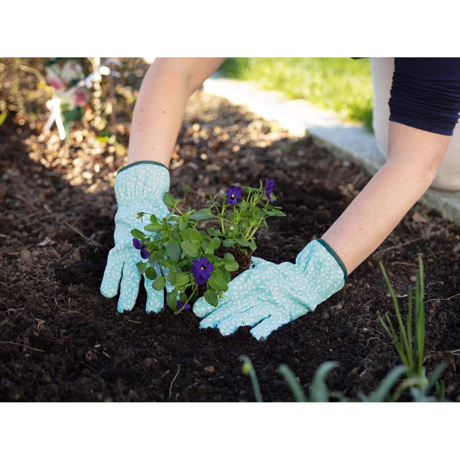 Gartenarbeit mit blau-weißen Gartenhandschuhen Größe 8 beim Einpflanzen von Blumen.