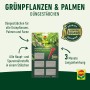 Compo Düngestäbchen für Grünpflanzen, Palmen und Farne mit Guano, 30 Stück, 3 Monate Langzeitwirkung.