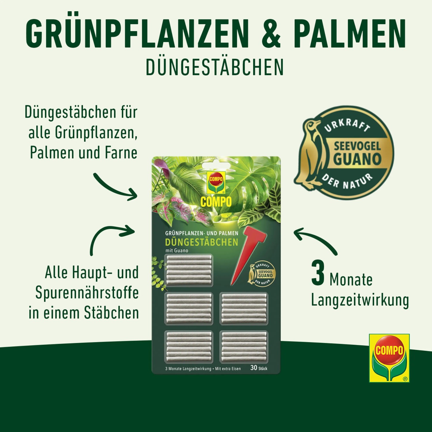 Compo Düngestäbchen für Grünpflanzen, Palmen und Farne mit Guano, 30 Stück, 3 Monate Langzeitwirkung.