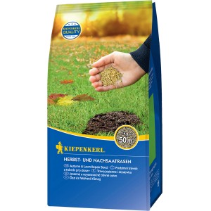 Kiepenkerl Herbst- & Nachsaatrasen, 1 kg Packung. Rasensamen für eine dichte, grüne Rasenfläche.