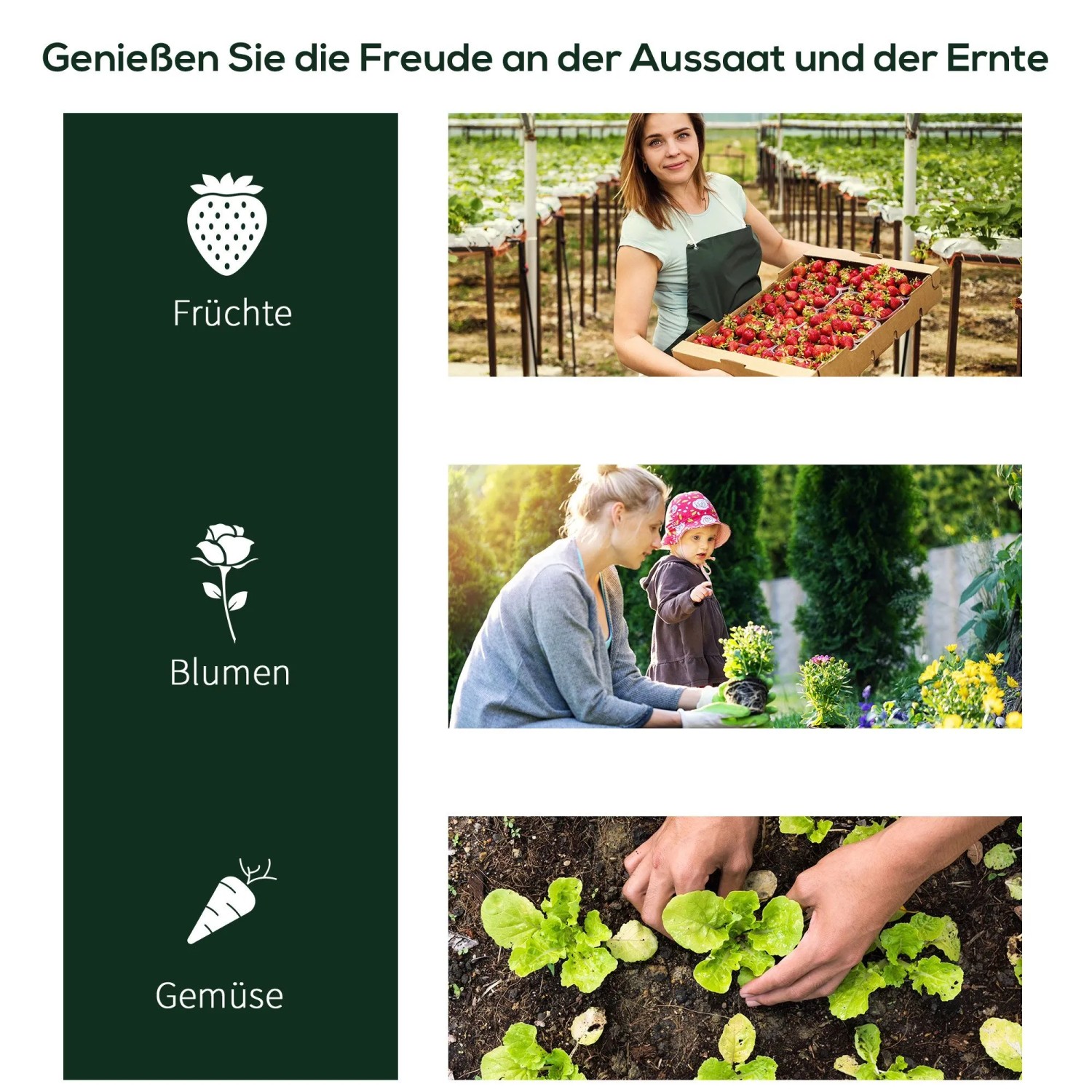 Anwendungsbeispiele für das Furnicato Gewächshaus: Anzucht von Früchten, Gemüse und Blumen.