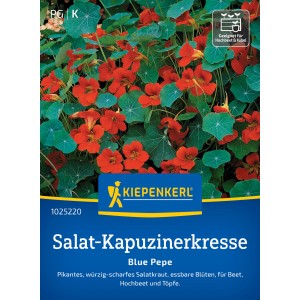 Kiepenkerl Salat-Kapuzinerkresse Blue Pepe mit roten Blüten und grünen Blättern.
