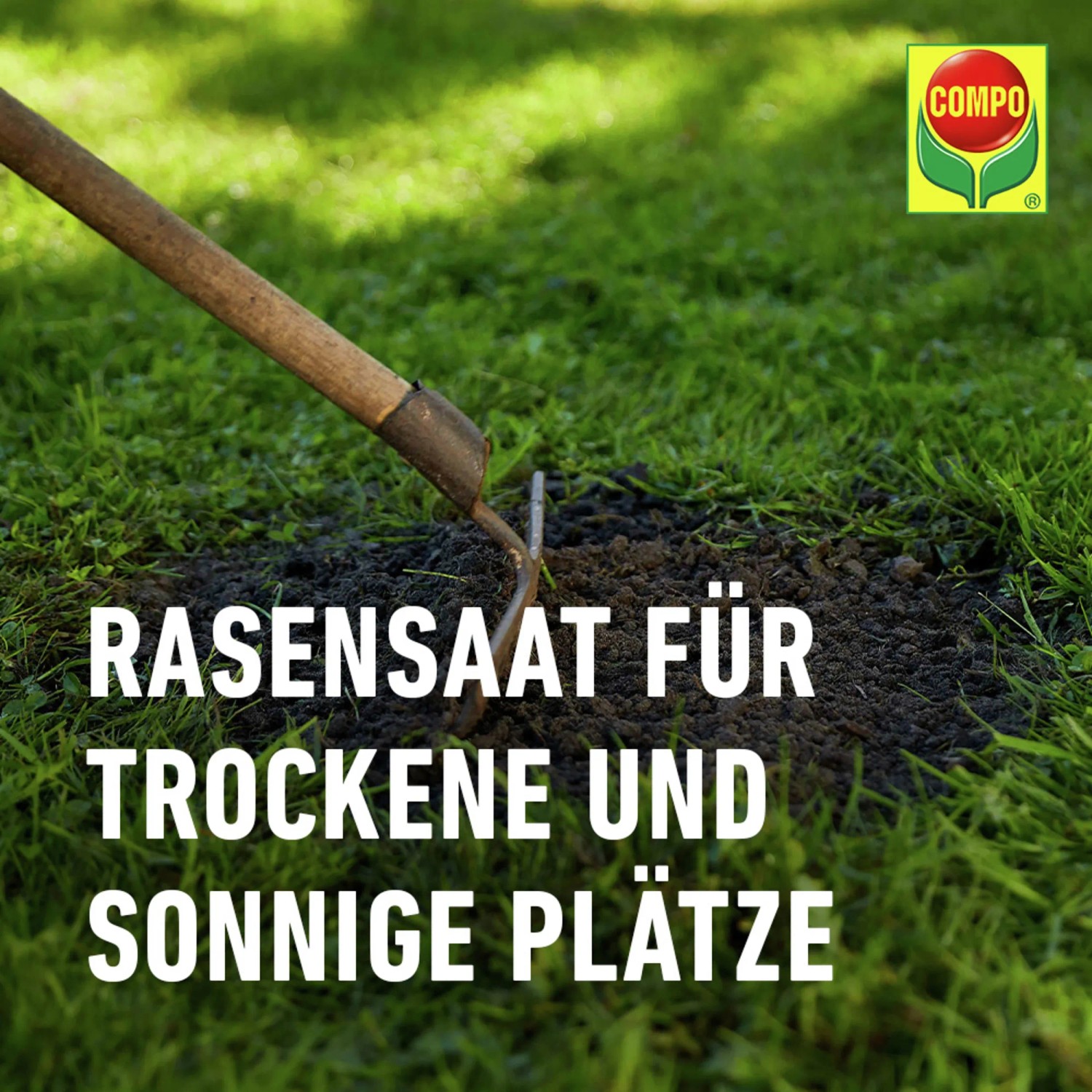 Compo Rasensamen fr trockene Standorte 1 kg 40 m kaufen bei OBI