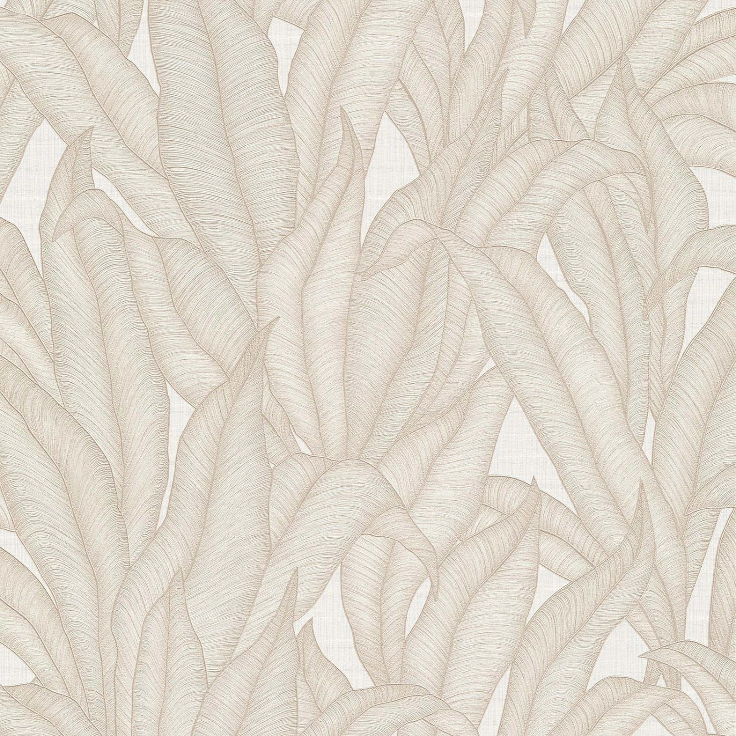 Bricoflor Palmen Tapete in Beige Weiß mit Vinyl Struktur Ideal für Wohnzimmer und Schlafzimmer Vliestapete mit Palmenblättern