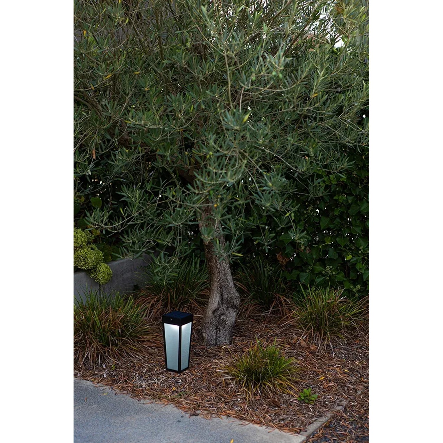 Lutec Dias Solar-Wegeleuchte, mattschwarz, neben einem Baum im Garten. Moderne Gartenbeleuchtung.
