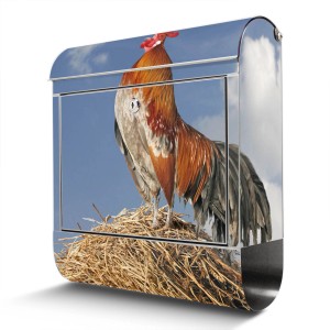 Edelstahl Briefkasten mit Hahn Motiv und Zeitungsfach. Rostfreier Wandbriefkasten, 38x43x12.5cm.