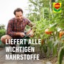 Mann düngt Gemüse mit Compo Bio Obst- und Gemüsedünger für gesundes Wachstum.