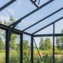 Innenansicht des Bloomcabin Wandgewächshauses: schwarzer Aluminiumrahmen, Glasdach, offenes Lüftungsfenster, Pflanzen. Blick ins Grüne.