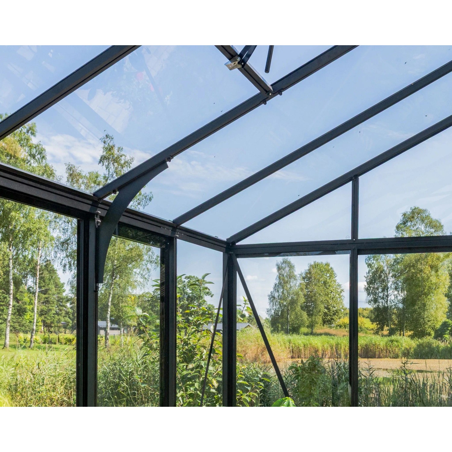 Innenansicht des Bloomcabin Wandgewächshauses: schwarzer Aluminiumrahmen, Glasdach, offenes Lüftungsfenster, Pflanzen. Blick ins Grüne.