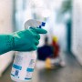 Grüner Gebol Green Tech Arbeitshandschuh Größe L beim Reinigen mit Sprühflasche.