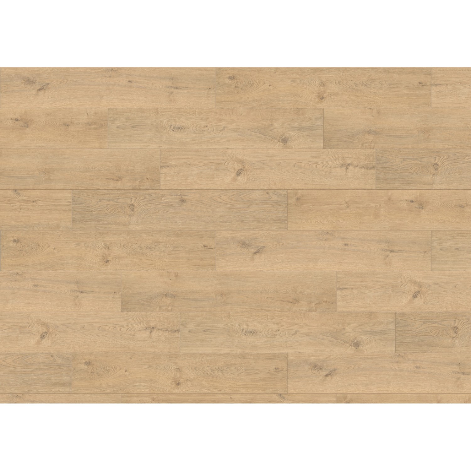 Living by Haro Laminatbodenmuster Salone Landhausdiele 4V Eiche Calgary creme